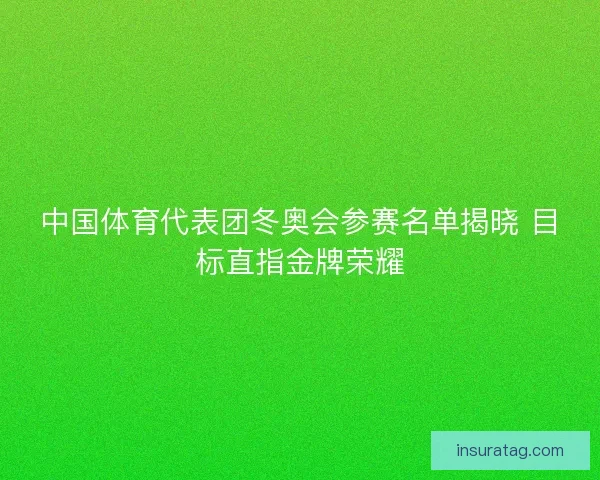 中国体育代表团冬奥会参赛名单揭晓 目标直指金牌荣耀