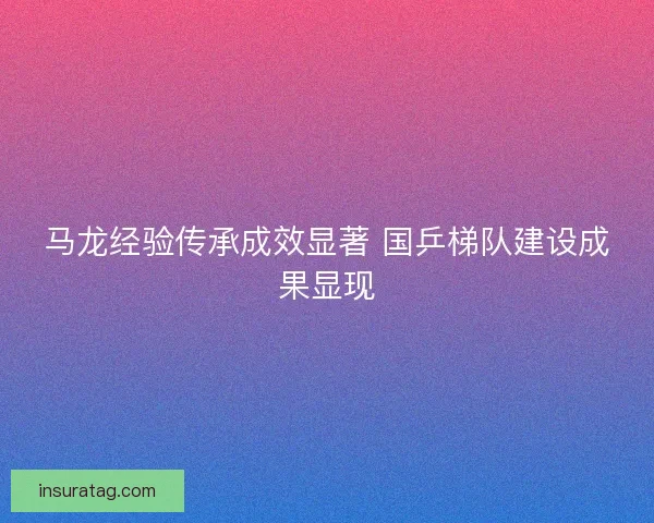 马龙经验传承成效显著 国乒梯队建设成果显现